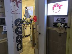 -楼上猫咖(罗湖店)