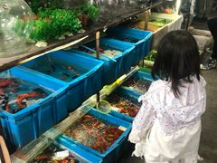 -万商花鸟市场