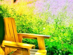 -紫海香堤香草艺术庄园