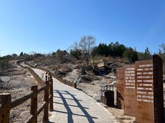 -白水寺森林公园