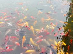 -泰安地下龙宫景区