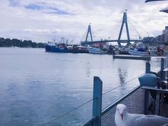 -悉尼鱼市场