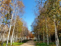 -长春市南湖公园