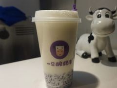-一只酸奶牛(八一路店)