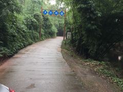 -芦沟竹海