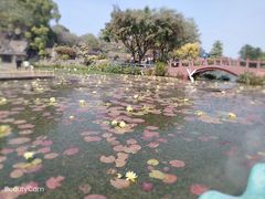 -广州莲花山旅游区