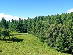 -塞罕坝国家级自然保护区