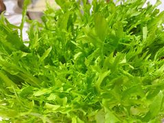 苦菊-红鼎豆捞·非遗鲍皇汤火锅(宝丰路店)