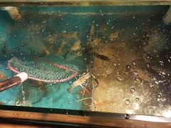 -Thai Basil罗勒叶泰式餐厅(时代天街店)