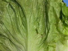 -古彭7只羊·招牌白串·碳锅羊肉旗舰店