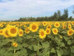 -西安汉城湖景区