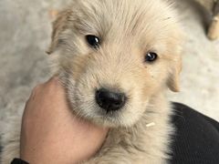 -乐宠宠物店(世纪金源店)