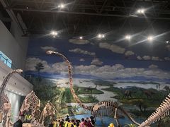 -自贡恐龙博物馆