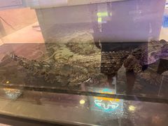 -海韵之星邮轮水会(明发商业广场店)