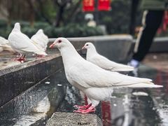-人民广场