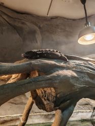 -Zoolung Zoolung动物主题公园(海信广场店)