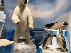 -国家自然博物馆