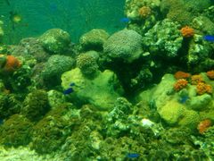 -福州罗源湾海洋世界旅游区