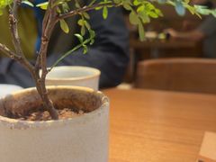 -CURRY YA 熟成咖哩專門店(深圳湾万象城店)