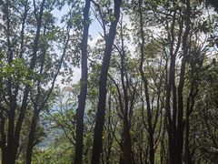 -火炉山森林公园