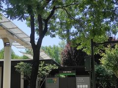 -唐城墙遗址公园