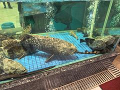 -聚福宝合苑食府(南头镇店)