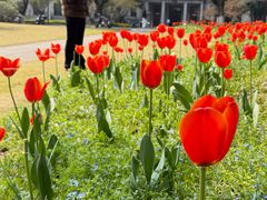 -浙江大学(玉泉校区)