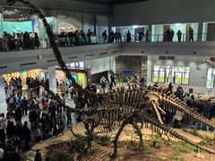 -自贡恐龙博物馆