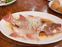 深海东星斑-东江海鲜酒家(艺都分店)