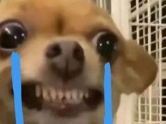 -柳之缘柳州螺蛳粉(汇品坊美食城店)