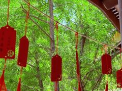 -黄陂区野村谷景区