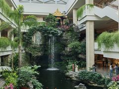 -广州白天鹅宾馆