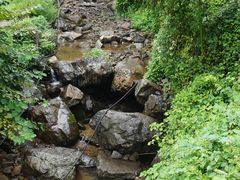 -WILDS 野有食(碧坞店)