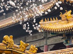 -故宫博物院(故宫)