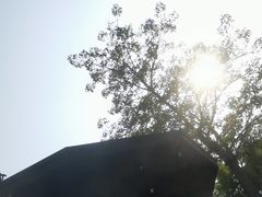 -厦门日月谷温泉渡假村