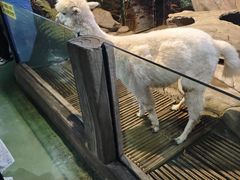 -苏州海洋馆