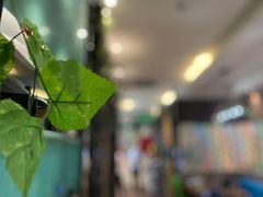 -湘悦茗宴(创维店)