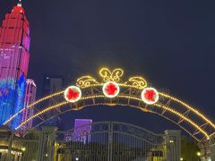 -武汉知音号