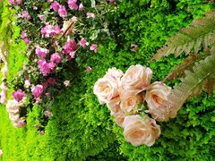 -郑州方特梦幻王国