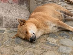 -毛泽东同志旧居