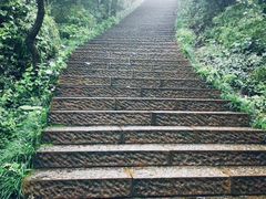 -杭州半山国家森林公园