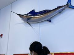 -贝林大翅鲸简餐厅(国家海洋博物馆店)