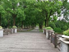 -上海鲜花港