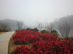 -广州市石门国家森林公园