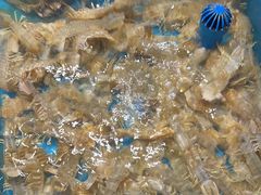 -隐厨·海鲜餐厅(恒通路店)