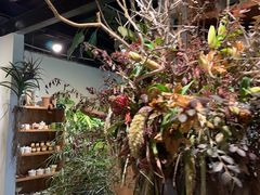 -自由生长植物工作室(深港花卉中心店)