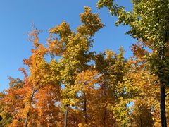 -长春世界雕塑园冰雪艺术天地