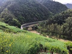 -石潭村