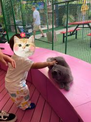 -萌宠亲子动物乐园(槐房万达店)