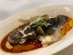 -樱苑(四川北路店)